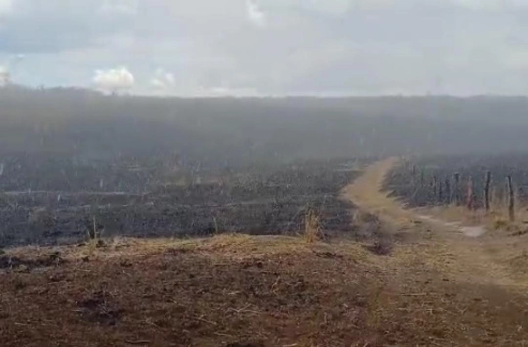 Chuva ajuda a combater queimadas no Sul do PI; autor do incêndio é identificado