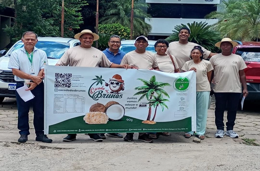 Cocada dos Brunos recebe certificação estadual e amplia comercialização no Piauí