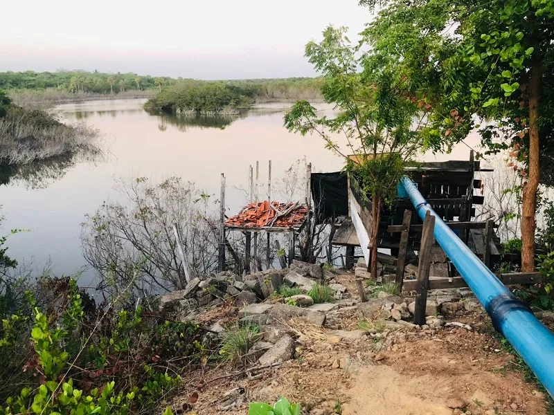 Homem é preso por crime ambiental no Piauí e propriedade recebe multa milionária