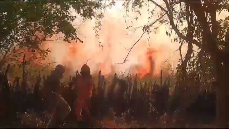 Incêndios florestais ameaçam a Serra das Confusões