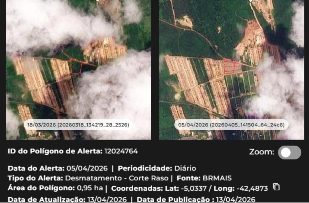 Piauí reduz desmatamento em 66,5% no Cerrado e vira referência para o Brasil em monitoramento ambiental