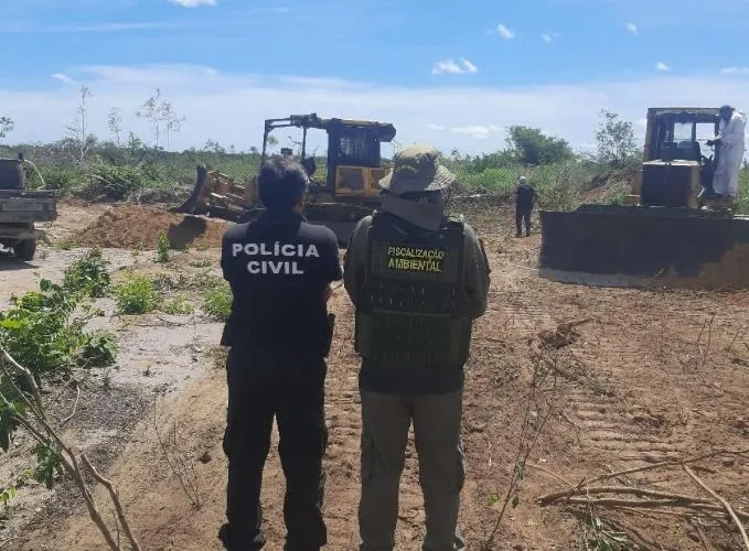 Fazenda em Bom Jesus é autuada por desmatar 1,5 mil hectares em área de preservação da Mata Atlântica