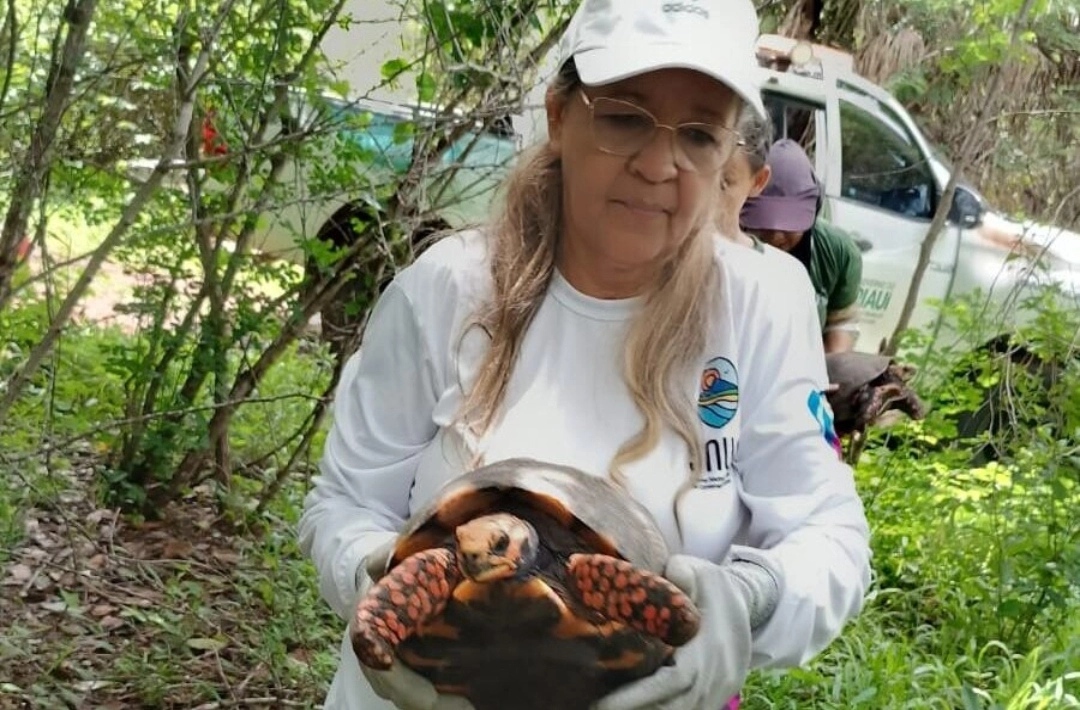 Polícia Ambiental registra 496 ocorrências com animais silvestres em três meses e orienta população como agir