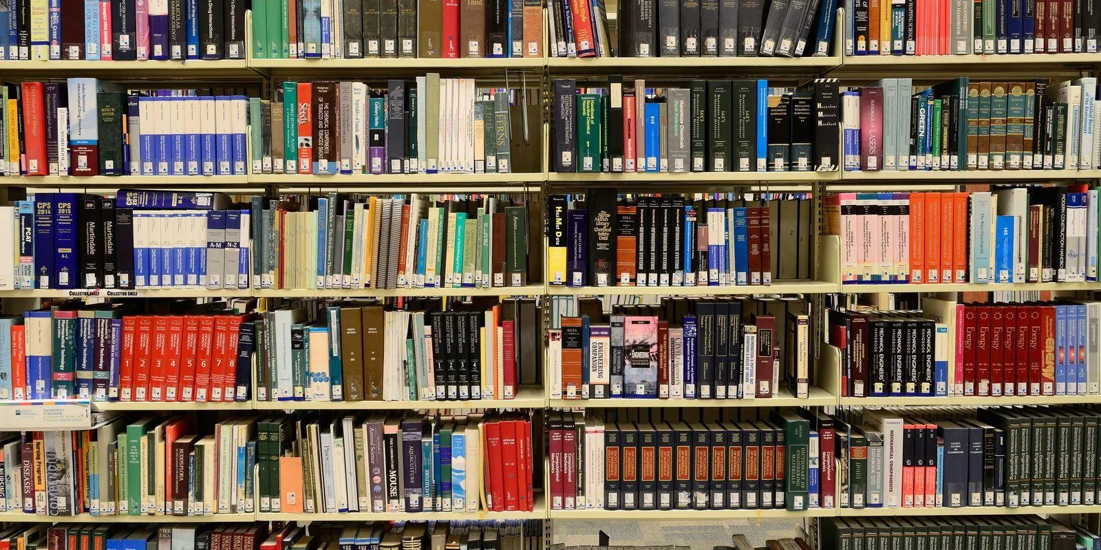 Lei institui Sistema Nacional de Bibliotecas Escolares: O que você precisa saber