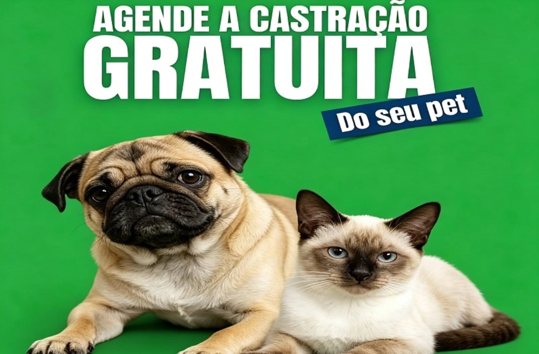 Centro de Controle de Zoonoses abre cadastro para castração gratuita de cães e gatos de pequeno porte em Oeiras