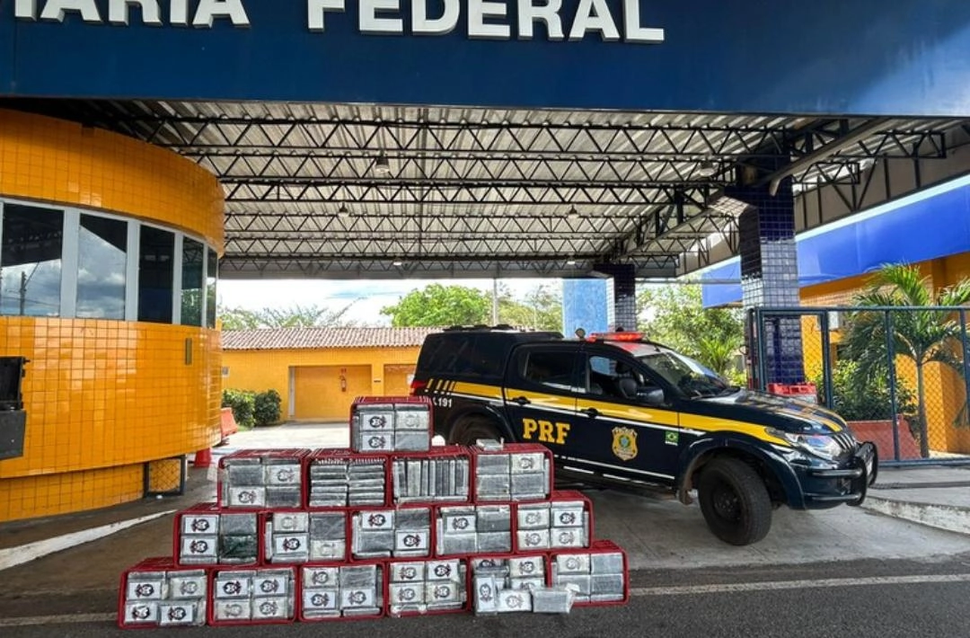 Motorista é preso ao ser flagrado com meia tonelada de cocaína; receberia 10 mil