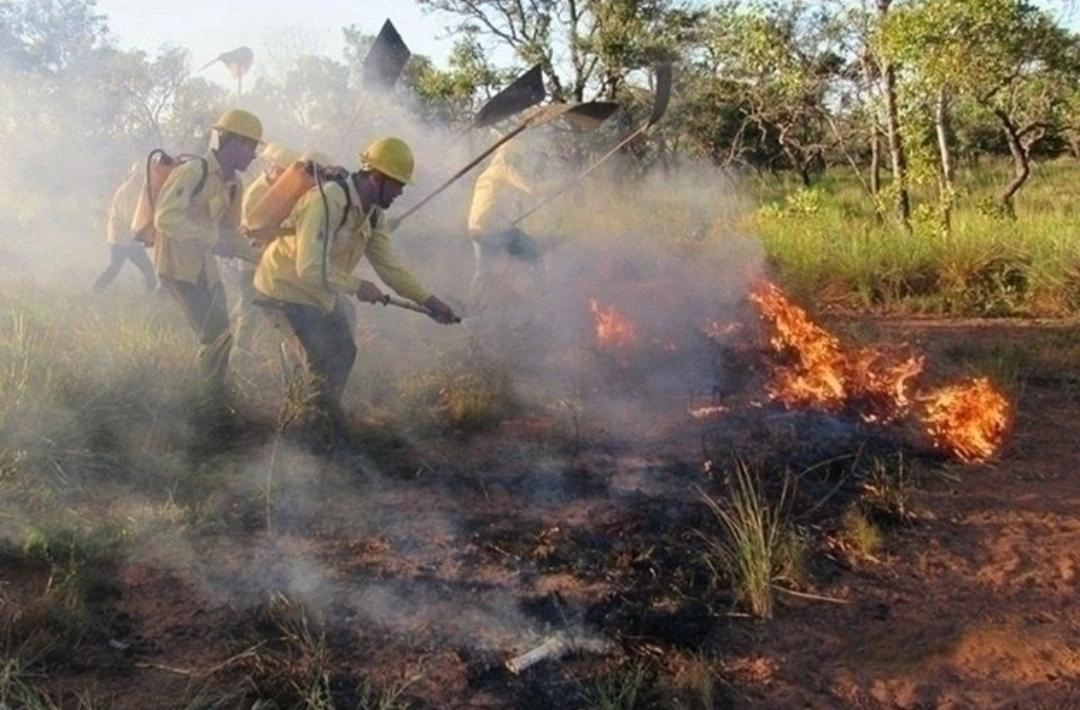 Piauí prorroga proibição do uso do fogo em áreas rurais e florestais