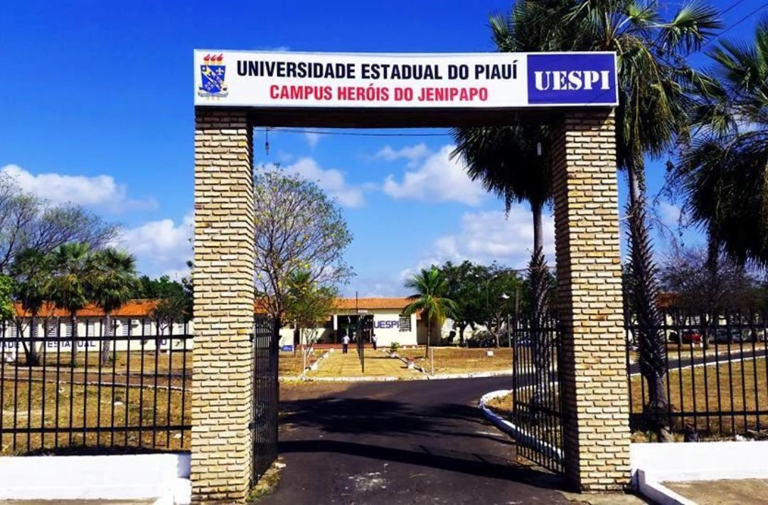 Resultado histórico: 12 cursos de licenciatura da Uespi conquistam nota máxima no Enade 2025