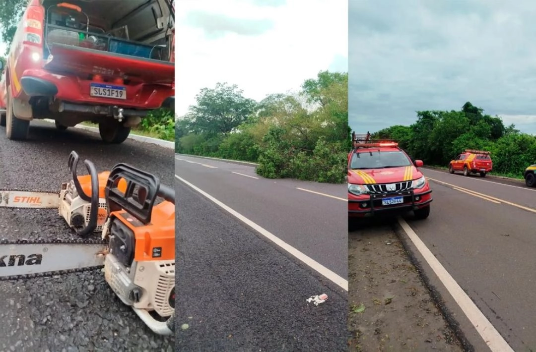 Bombeiros desobstruem trecho da BR-230 entre Oeiras e Floriano