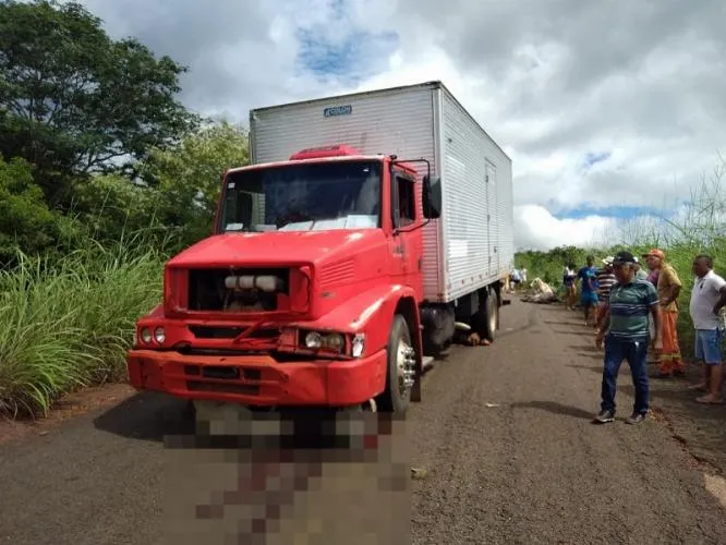 VÍDEO: Mais de 15 animais morrem atropelados em acidente com caminhão na PI-120