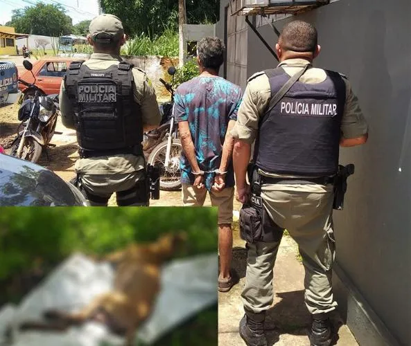 Homem é detido suspeito de estuprar e matar cadela em Miguel Alves