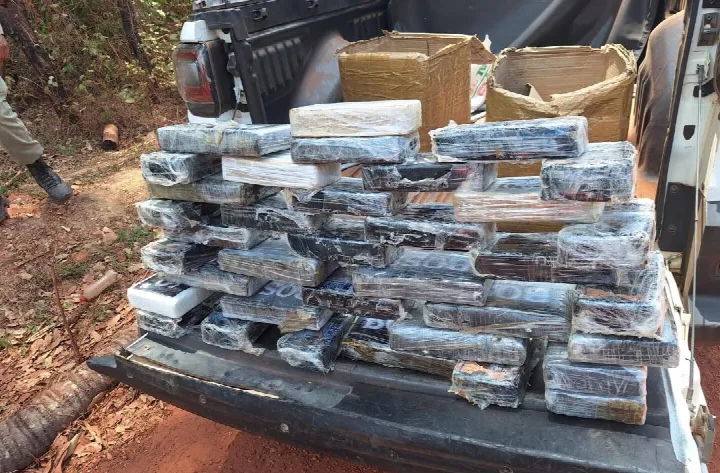 Polícia Militar apreende mais de 30 tabletes de drogas durante ação policial em Altos