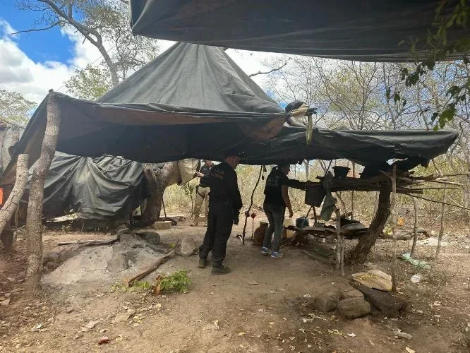 Trabalhadores em situação análoga à escravidão são resgatados no interior do Piauí