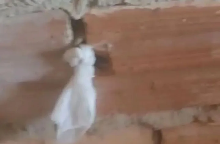 Mãe denuncia vizinho de se masturbar espiando sua filha de 4 meses em Barras