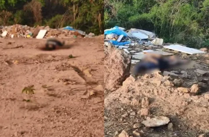 Mulher trans é uma das vítimas executadas a tiros em lixão no Monte Verde, na zona Norte de Teresina
