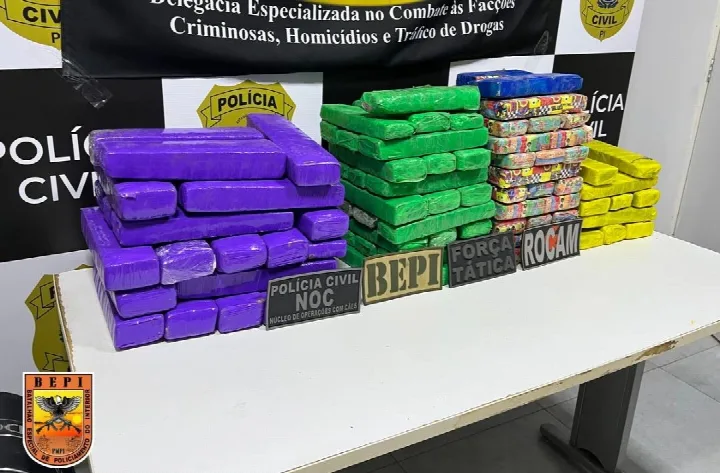 Polícia apreende mais de 100 tabletes de maconha durante operação em Picos