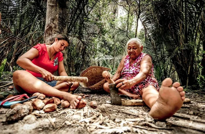 Governo federal reconhece 57 famílias de quebradeiras de coco no Piauí