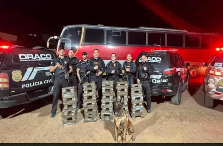 SSP-PI Apreende 250 Kg de Maconha Avaliada em R$ 2 Milhões em Ônibus que Vinha do Rio de Janeiro