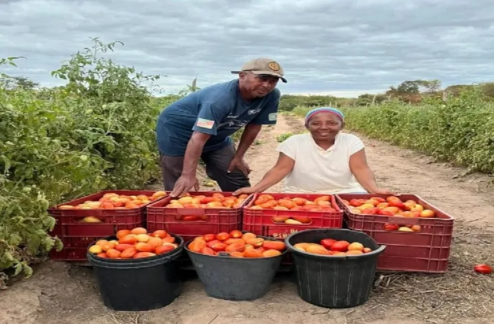 Colônia do Piauí distribui alimentos da agricultura familiar para famílias em situação de vulnerabilidade