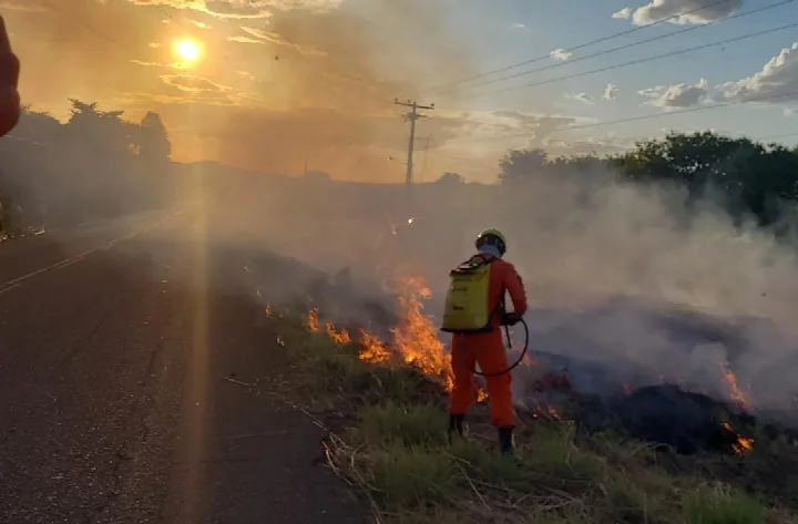 Piauí registra mais de 3 mil focos de incêndio em um mês; maior registro de 2024