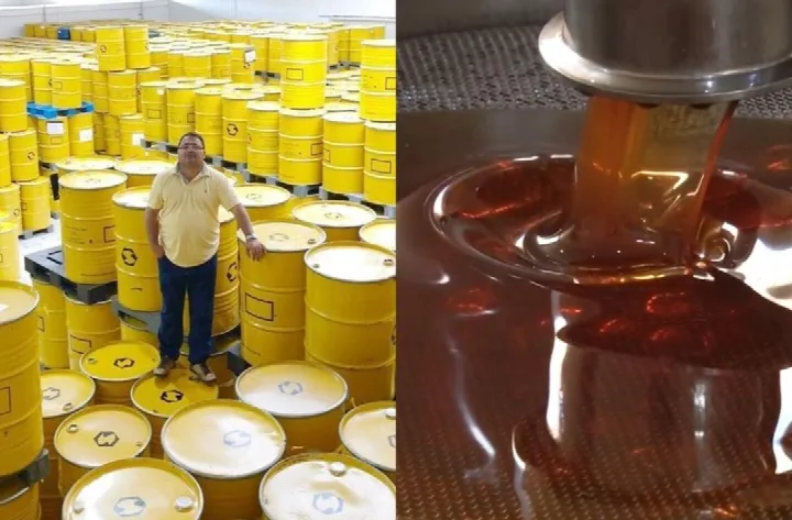 Oeiras: Grupo Sama, exportador de mel orgânico perde venda de 585 toneladas após tarifaço de Trump contra o Brasil