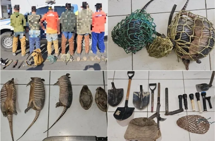 Polícia resgata animais, apreende caça e autua seis por crime ambiental no Piauí