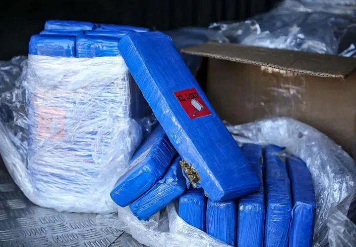 Operação apreende 50 kg de maconha entre muros de residências; droga é avaliada em mais de R$ 100 mil em Teresina