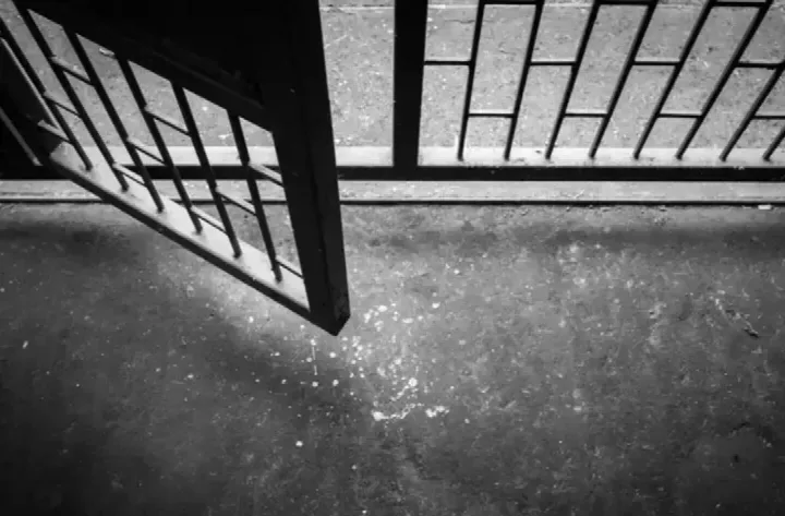 Advogado comenta sobre decisão judicial que concedeu liberdade provisória a réus acusados de roubo em Oeiras