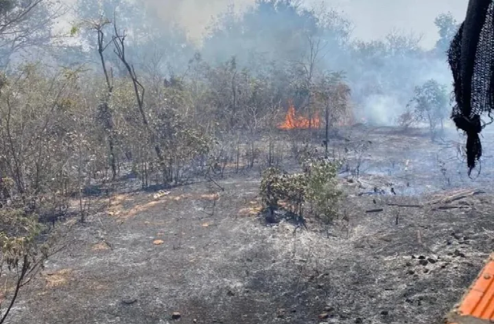 Número de queimadas aumenta em Oeiras e preocupa Corpo de Bombeiros