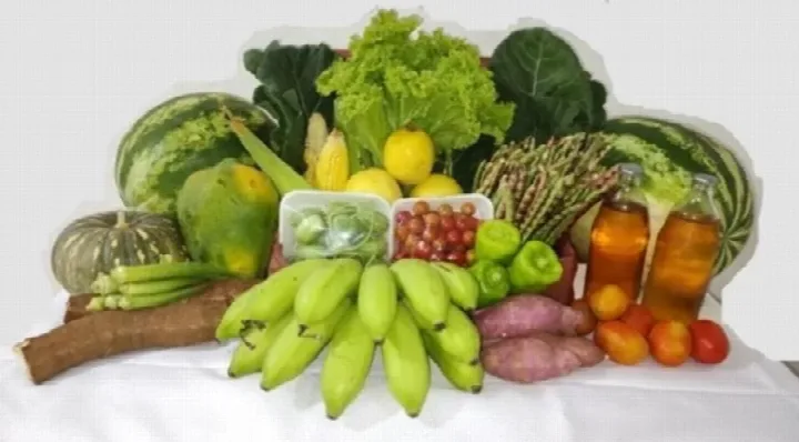 Município de Oeiras receberá mais de R$ 250 mil com adesão ao Programa de Aquisição de Alimentos (PAA)
