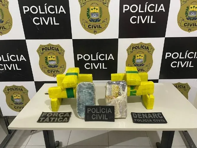Homem que viajava em ônibus interestadual é interceptado e preso com 12 kg de drogas no Piauí