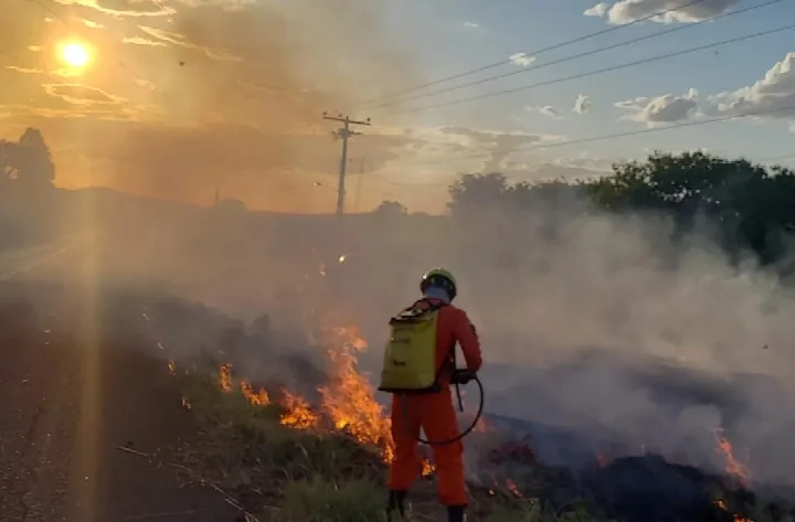 Piauí em chamas: Mortes marcam luta contra mais de mil incêndios em setembro