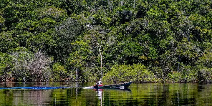 Aumento da Hepatite Delta Entre Comunidades Ribeirinhas do Amazonas: Causas e Consequências