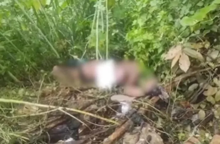 Corpo é encontrado com as mãos amarradas às margens do Rio Poti, em Teresina