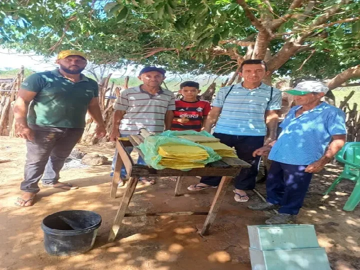 Estímulo à apicultura diversifica produção rural no município de Oeiras