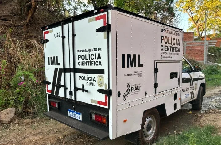 Mulher é assassinada a golpes de facas no Piauí; suspeito é preso