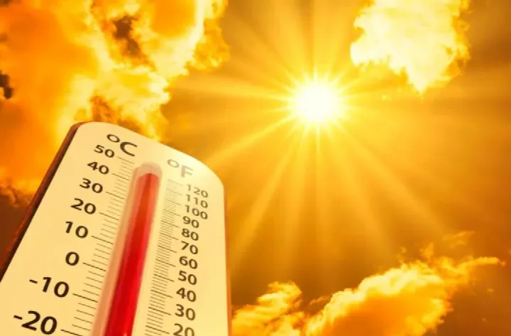 Com chuvas abaixo da média, Piauí já enfrenta calor de 40 °C e seca verde antes do B-R-O-Bró