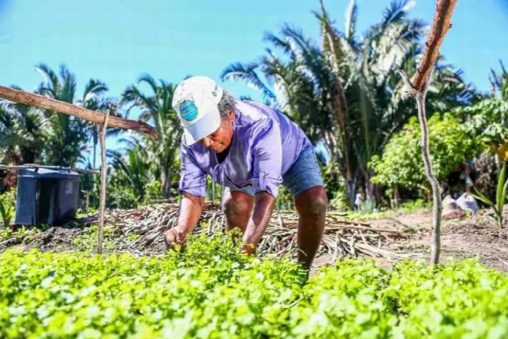 Governo do Piauí vai solicitar empréstimo de R$ 150 milhões junto ao BNDES para a agricultura familiar