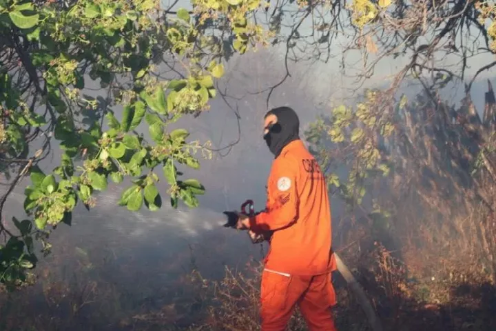 Corpo de Bombeiros de Oeiras é acionado para conter incêndio em área de mata em Colônia do Piauí