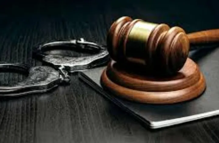 Casal preso com 47 kg de droga em Oeiras é colocado em liberdade após audiência de custódia
