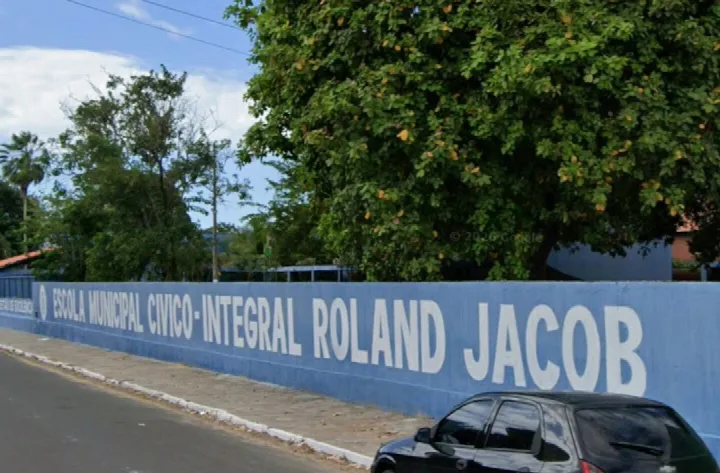 Ataque de abelhas deixa feridos em escola de Parnaíba; aulas foram suspensas