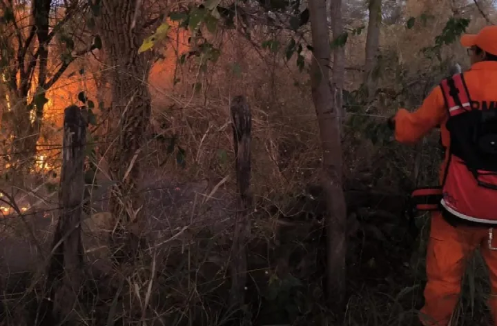 Corpo de Bombeiros enfrenta domingo de intensa mobilização contra incêndios em Oeiras