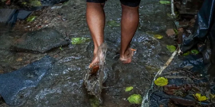 Risco de doenças infecciosas em ascensão no Rio Grande do Sul: Saiba mais!
