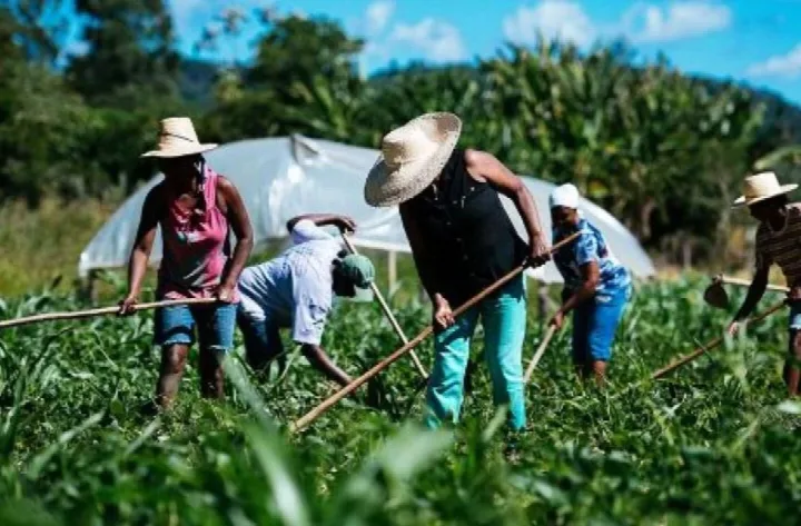 Governo do Piauí prevê orçamento de R$ 242 milhões para a Agricultura Familiar em 2025