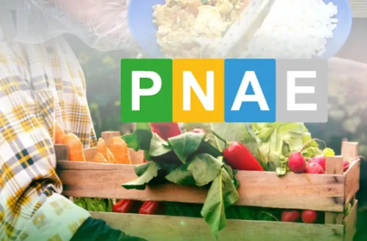 Prefeitura de Oeiras publica edital para compra de alimentos da agricultura familiar destinados à merenda escolar