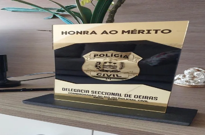 Delegacia Seccional de Oeiras recebe Troféu de Honra ao Mérito por atuação destacada em 2024