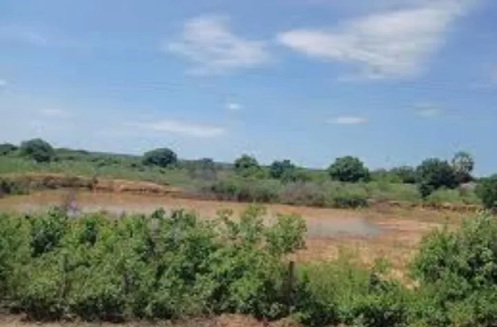 Oeiras e mais 128 municípios são atingidos pela Seca Verde no Piauí