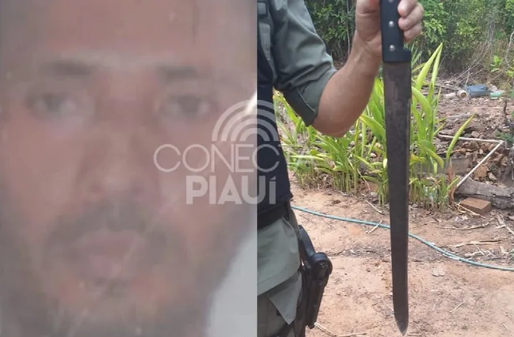 Homem ameaça irmã de morte e incendeia terreno dos pais em Demerval Lobão
