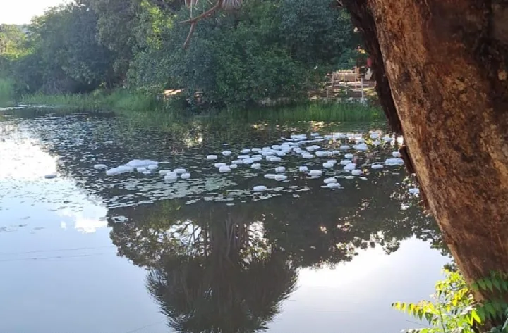 Contaminação de riacho em Bertolínia por tóxicos é monitorada pela SEMARH