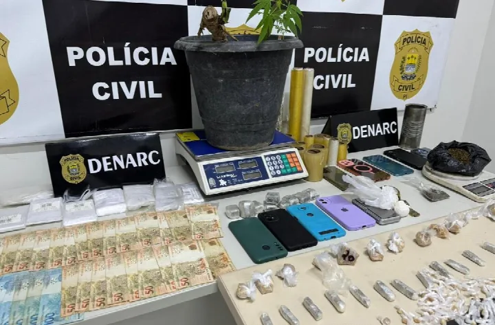 Polícia Civil apreende armas longas, R$ 3 mil em espécie e até muda de maconha durante operação em Água Branca